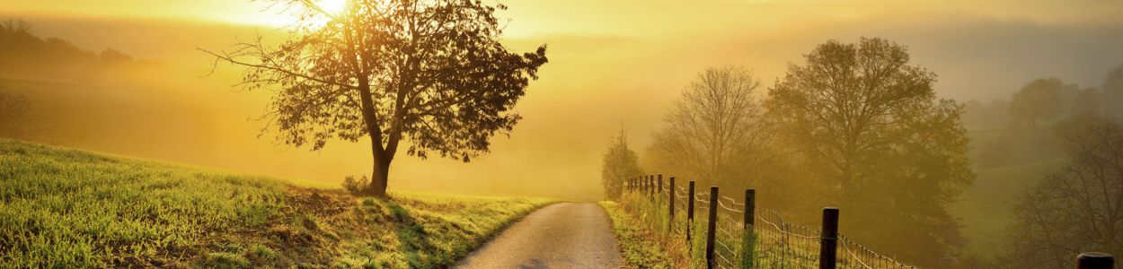 header_image